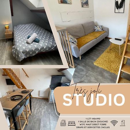 Superbe Studio A Proximite Du Centre-Ville Saint-Die-des-Vosges Exterior foto
